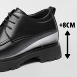 Regent - 8cm (3")