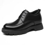 Regent - 8cm (3")